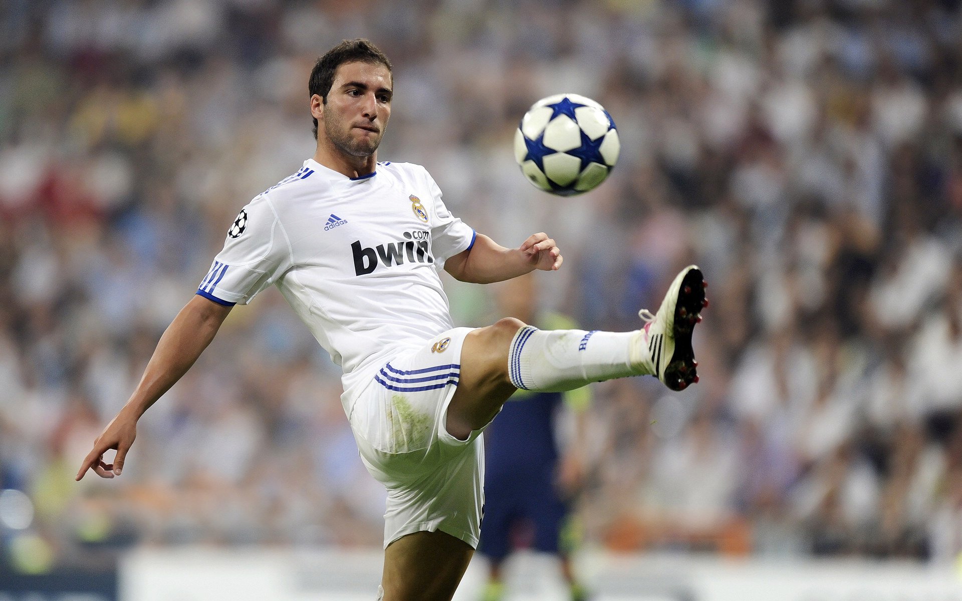 年度焦点之战，新疆队如何以压倒性优势碾压黄蜂